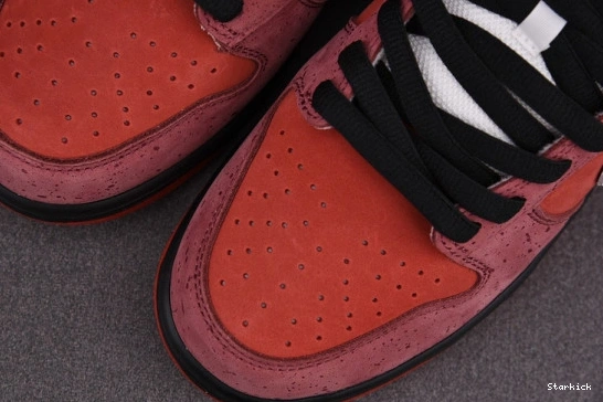 Low Nike Red SB Dunk 313170-661 Concepts Lobster 0211